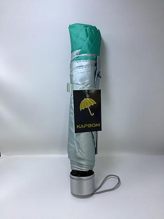 Guarda Chuva Pequeno