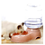 Bebedouro Dispensador para Cães e Gatos